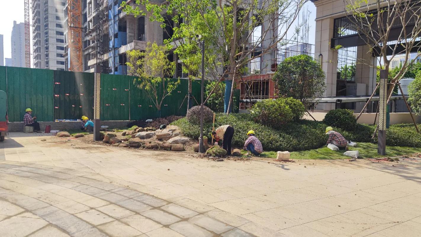腾飞华豫樽一期园林绿化工程进度实拍 匠心雕琢生态家园