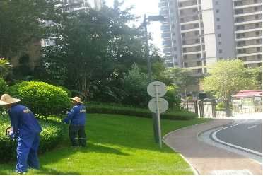 卓烨园林 专注打造绿色景观环境，守护生态美好家园