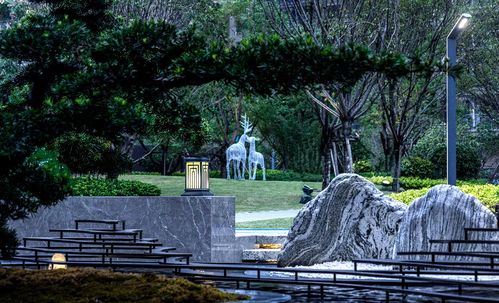 喜讯 国贸.前海湾荣获 省园林绿化优质工程