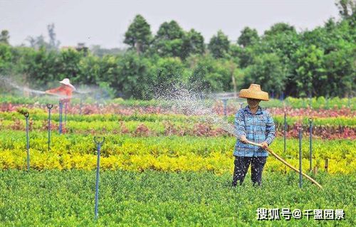 超详细｜园林绿化工程施工五大核心步骤