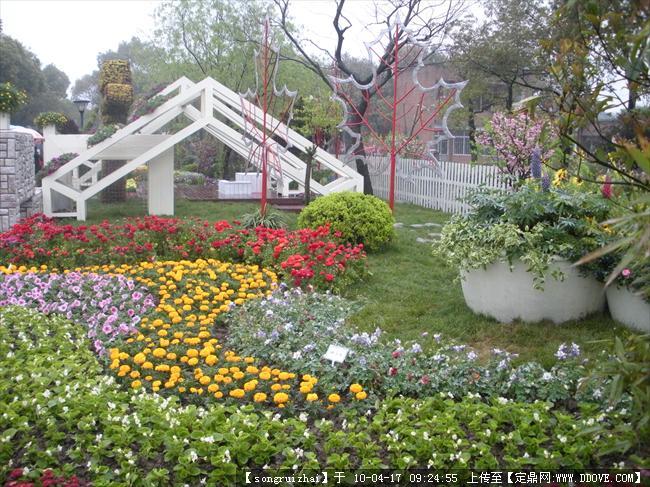 上海植物园节点景观 实景图鉴与园林施工细节解析