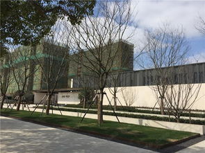 西安园林绿化工程公司 全方位打造绿色生态景观