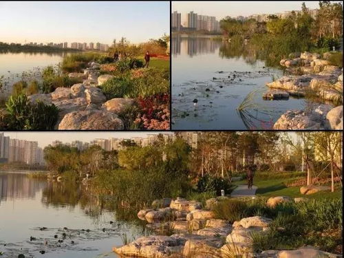 园林绿化施工现场管理的关键环节